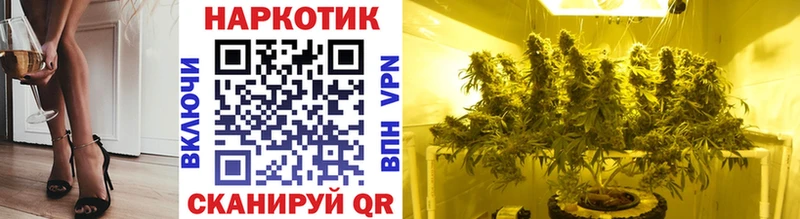 Где купить наркотики Беломорск АМФ  Меф мяу мяу  Гашиш  МАРИХУАНА  Cocaine  Альфа ПВП 