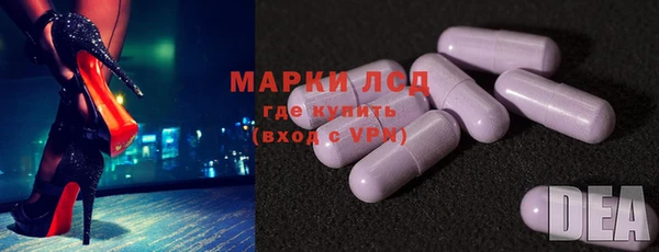 сатива Беломорск