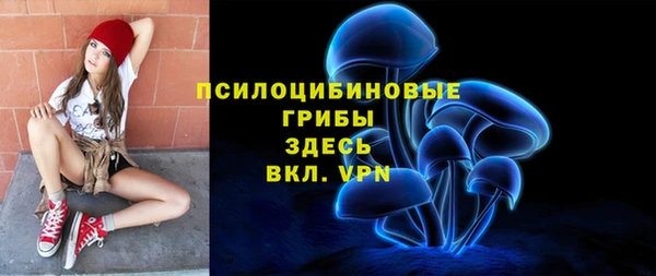 ALPHA PVP Белокуриха