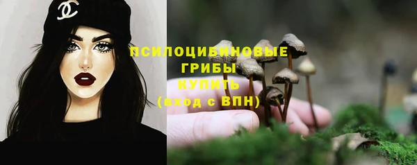 сатива Беломорск