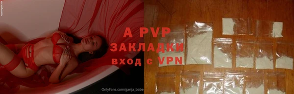 сатива Беломорск