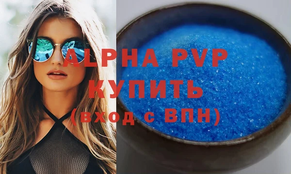 сатива Беломорск