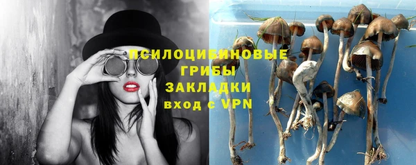 ALPHA PVP Белокуриха