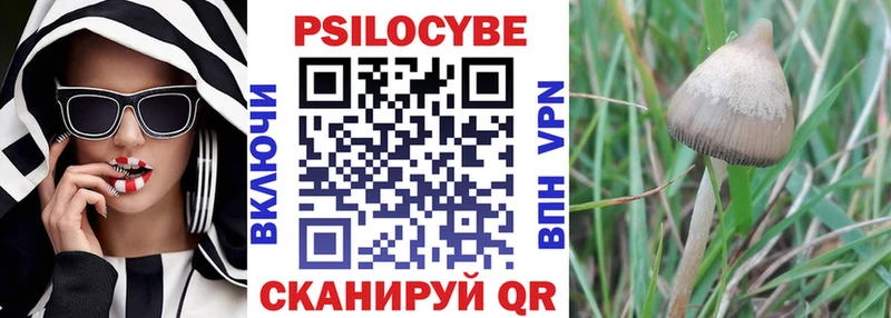 даркнет сайт  Беломорск  Псилоцибиновые грибы Magic Shrooms 